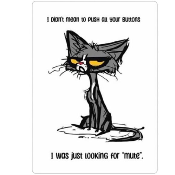 “I Didn’t Mean to Push Your Buttons, I Was Looking For Mute” magnet - Picture 2 of 2